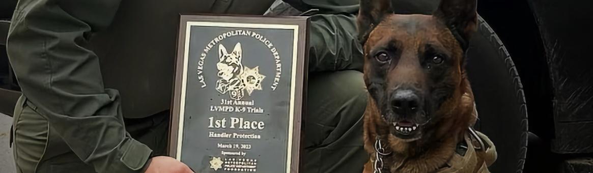 Award-Winning Riverside County Sheriff’s Police K-9 Rudy Killed