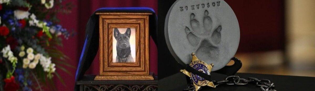 Great Outpouring For Kane County K9 Officer Hudson, Shot In The Line Of Duty
