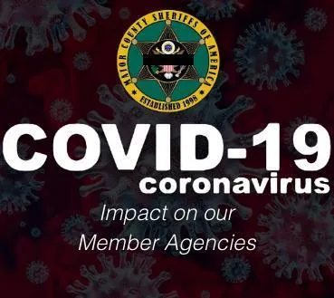 COVID Impact On Our Member Agencies - MCSA Sidebar Image